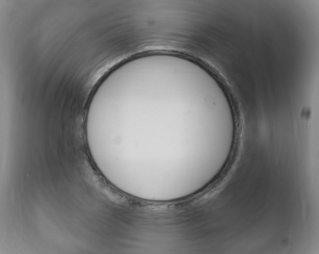 X0000111171121200907011001