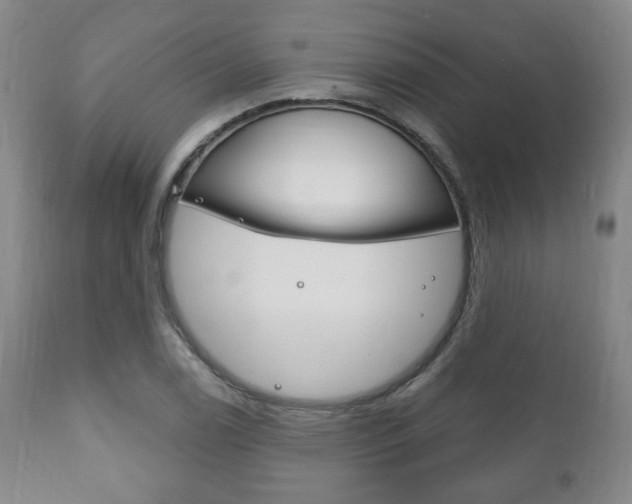 X0000111171122200907011001