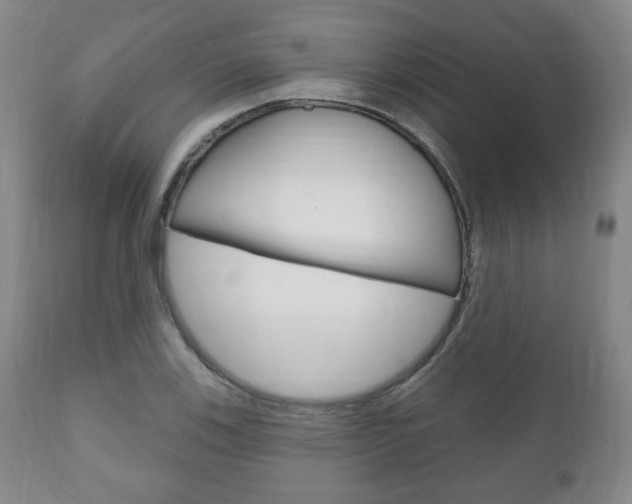 X0000111171123200907011001