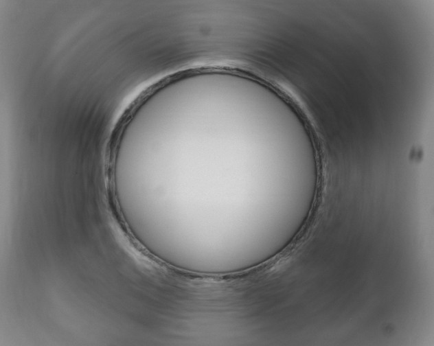X0000111171124200907011001