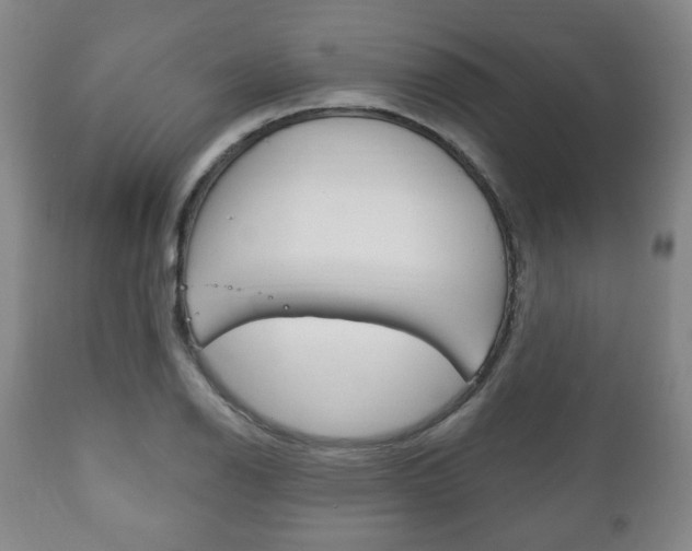 X0000111171126200907011001