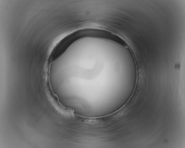 X0000111171128200907011001