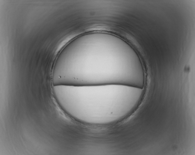 X0000111171129200907011001