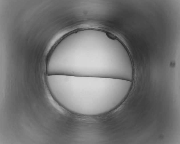X0000111171131200907011001