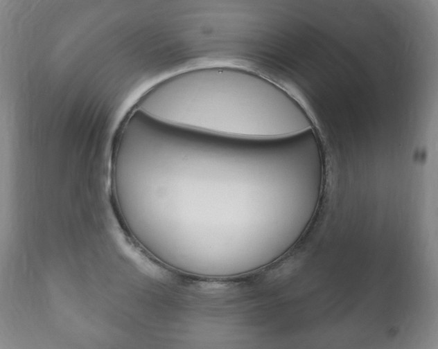 X0000111171132200907011001