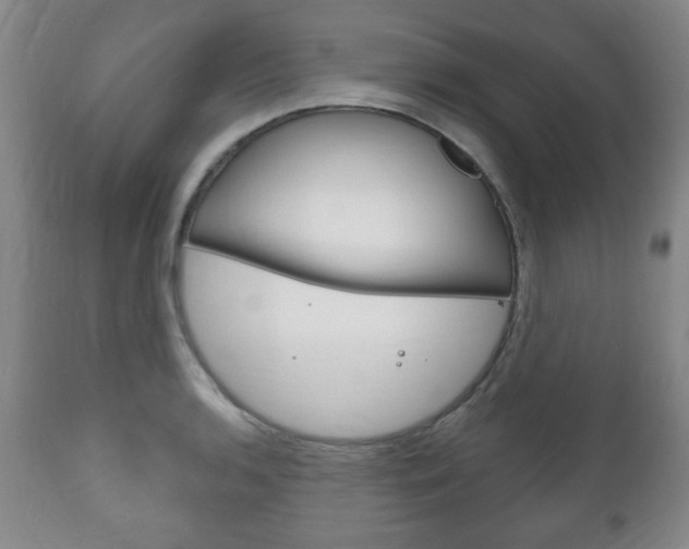 X0000111171136200907011001