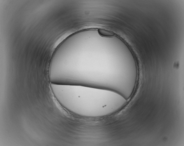 X0000111171137200907011001