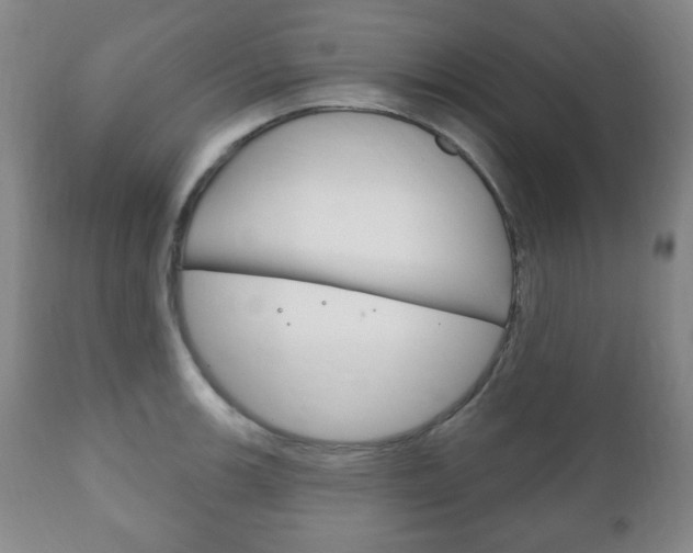 X0000111171139200907011001
