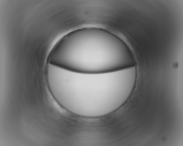 X0000111171140200907011001