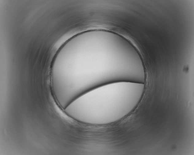 X0000111171143200907011002