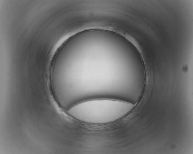 X0000111171144200907011002
