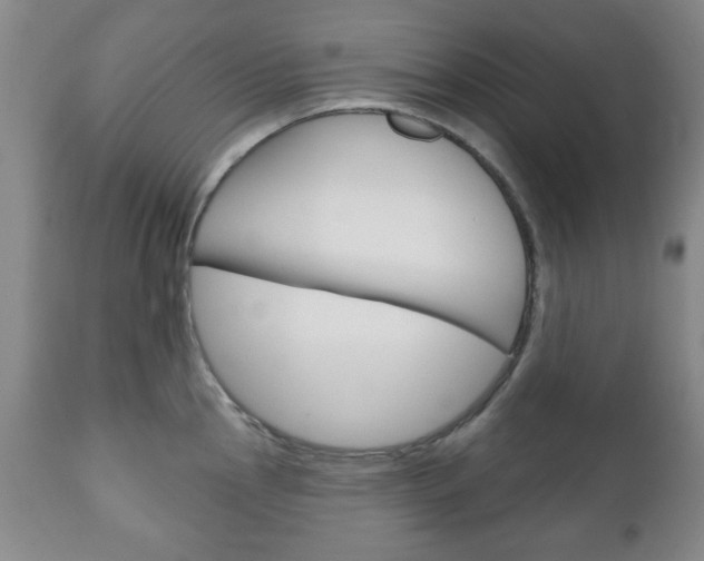 X0000111171145200907011002
