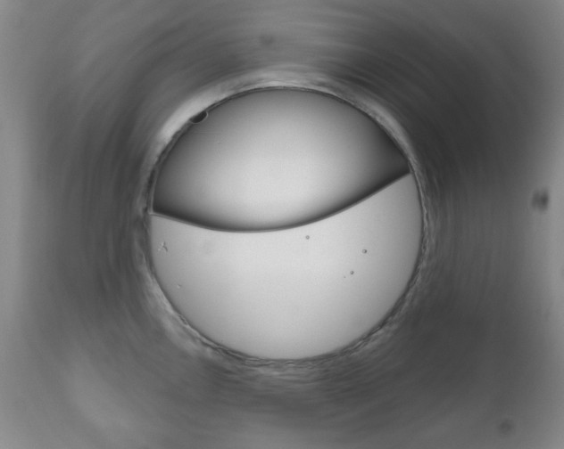 X0000111171146200907011002