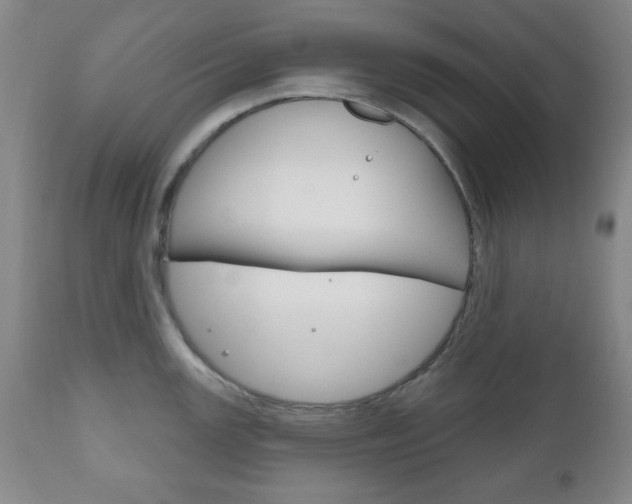 X0000111171147200907011002