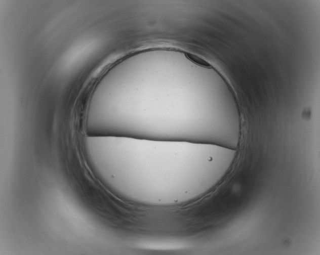 X0000111171151200907011002
