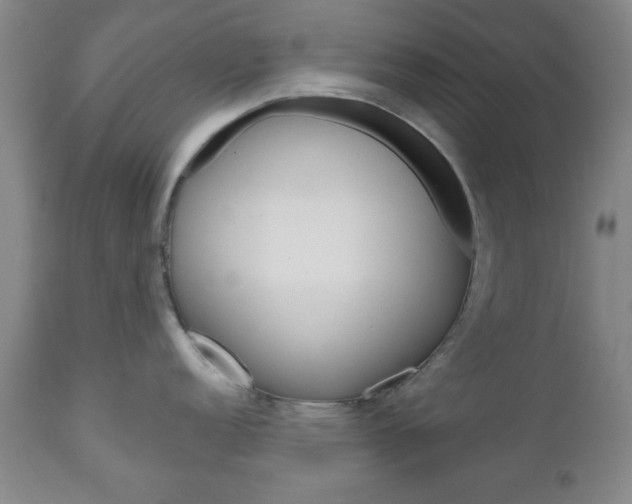 X0000111171152200907011002
