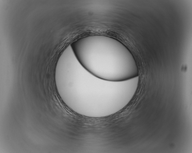 X0000111171153200907011001
