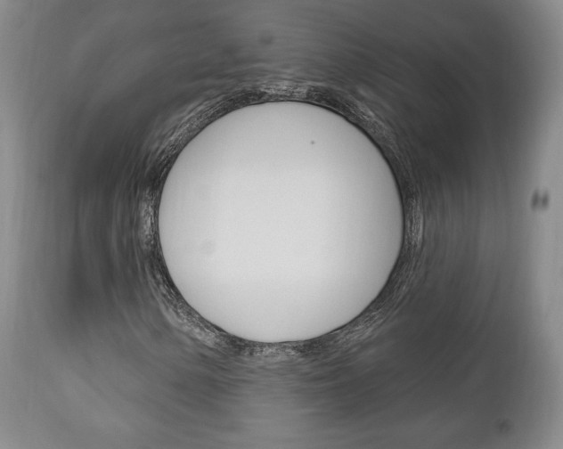 X0000111171154200907011001