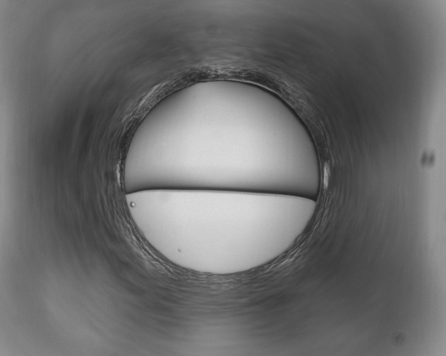 X0000111171155200907011001