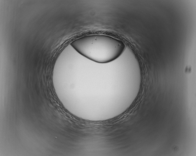 X0000111171157200907011001