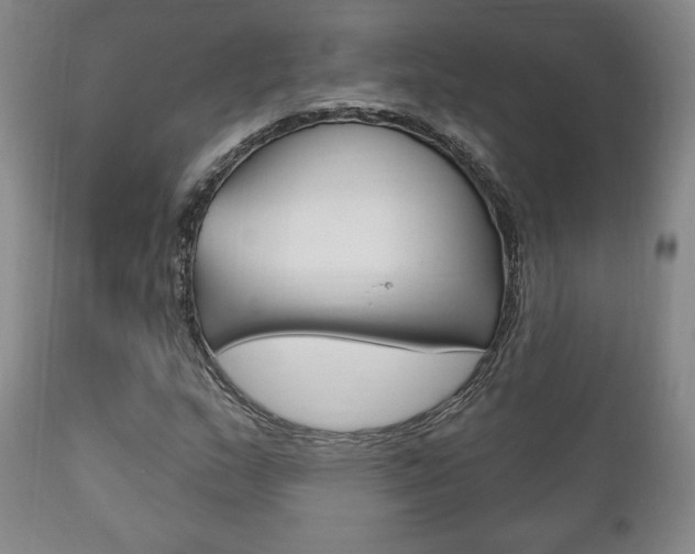 X0000111171159200907011001