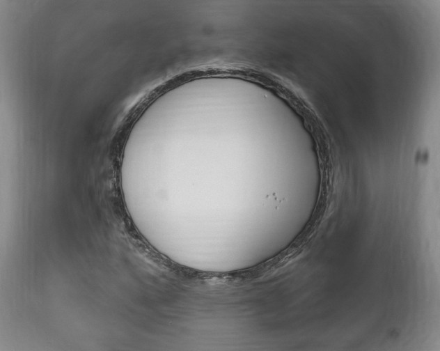 X0000111171160200907011001