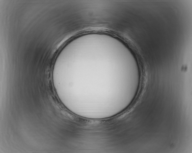 X0000111171162200907011001