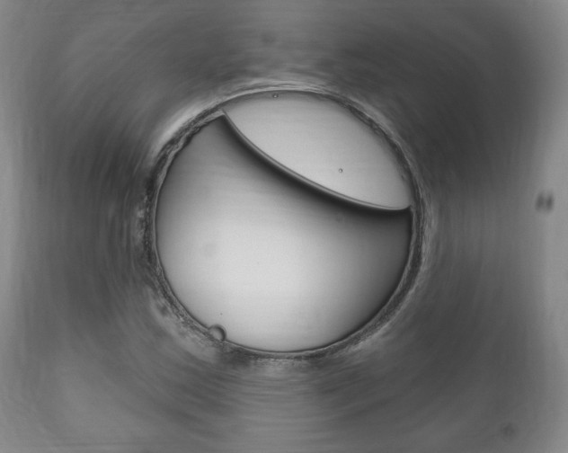 X0000111171163200907011001