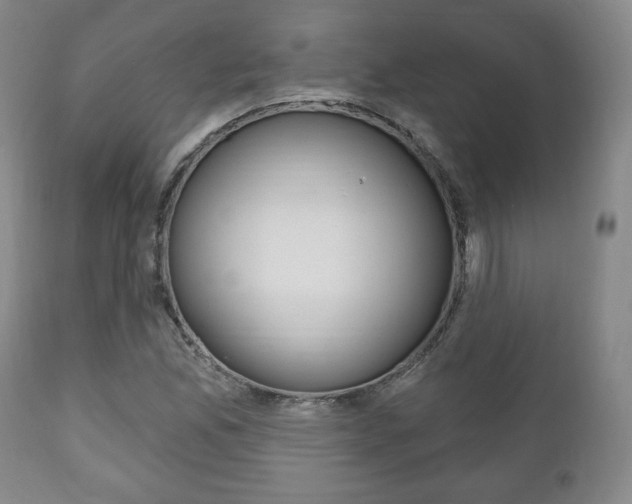 X0000111171165200907011001