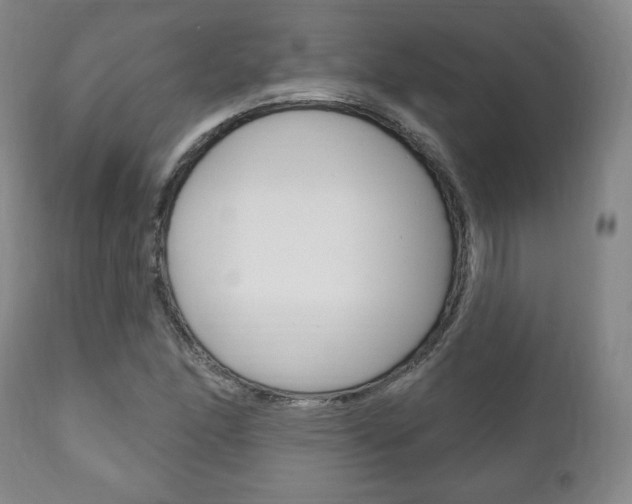 X0000111171166200907011001