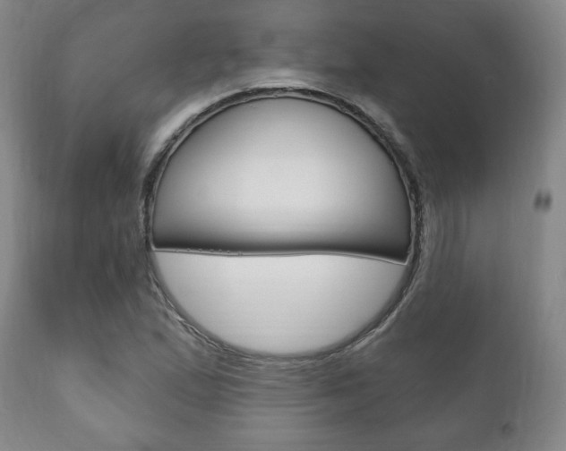 X0000111171167200907011001