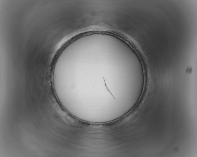 X0000111171168200907011001