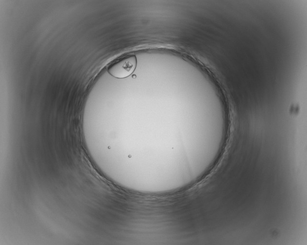 X0000111171169200907011001