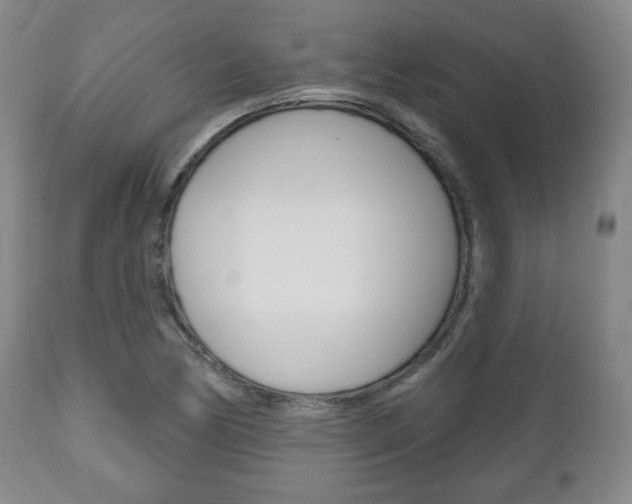 X0000111171170200907011001
