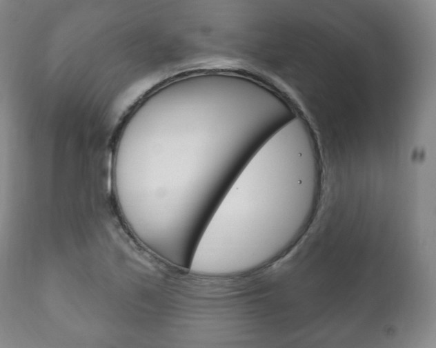 X0000111171171200907011001