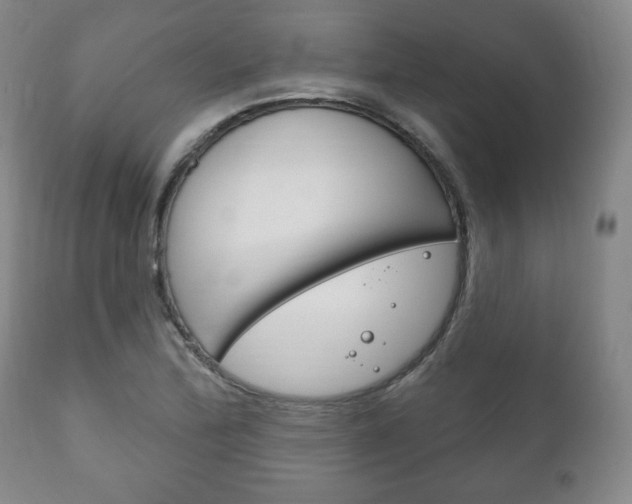 X0000111171172200907011000