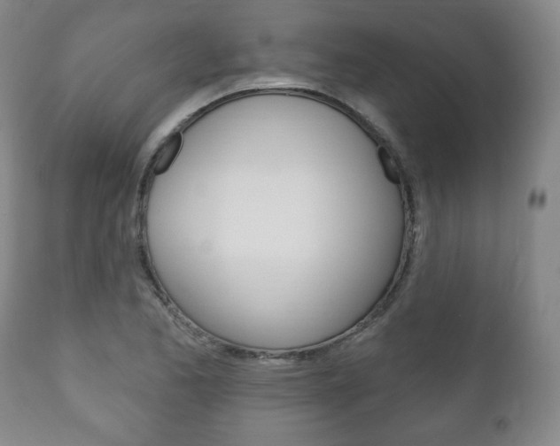 X0000111171173200907011000