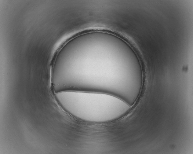 X0000111171175200907011000
