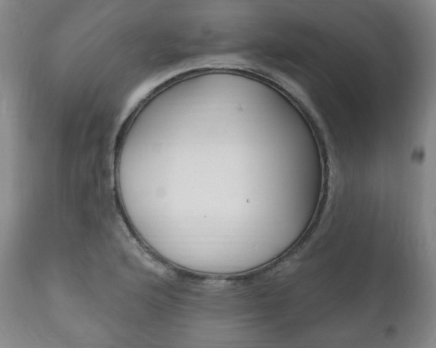 X0000111171176200907011000