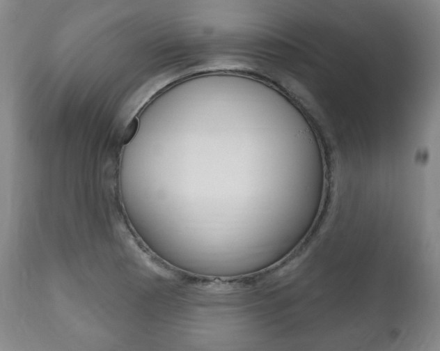 X0000111171177200907011000