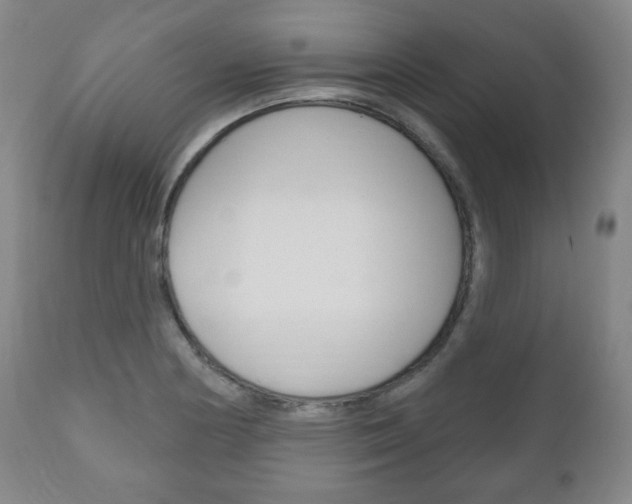 X0000111171178200907011000