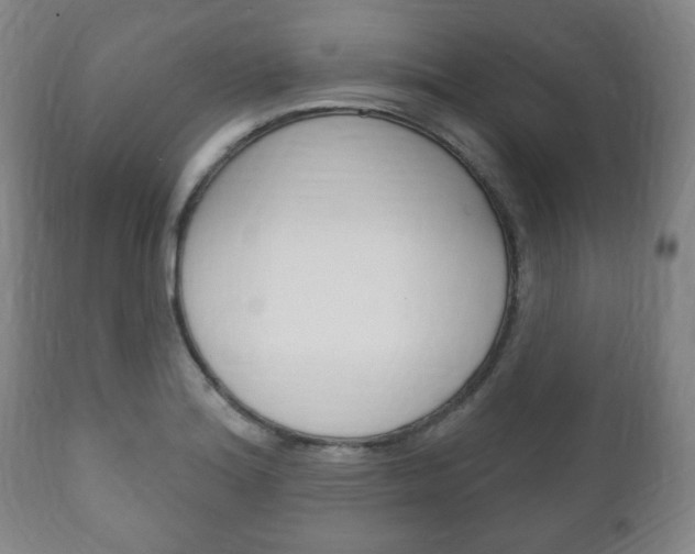 X0000111171180200907011000