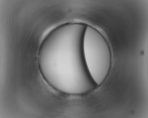 X0000111171183200907011000