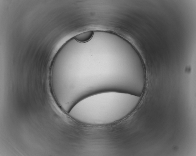 X0000111171187200907011000