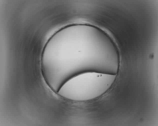 X0000111171191200907011000