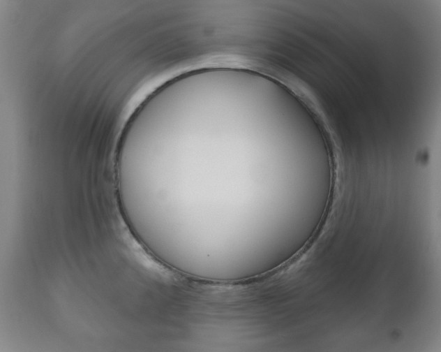 X0000111171192200907011000