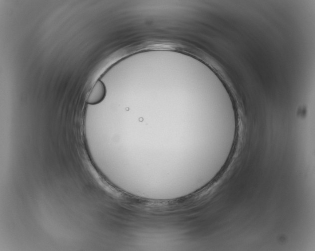X0000111171194200907011000