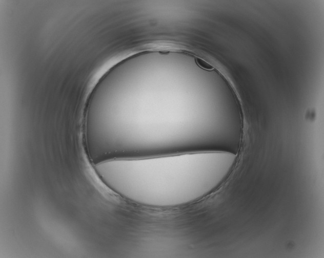 X0000111171195200907011000