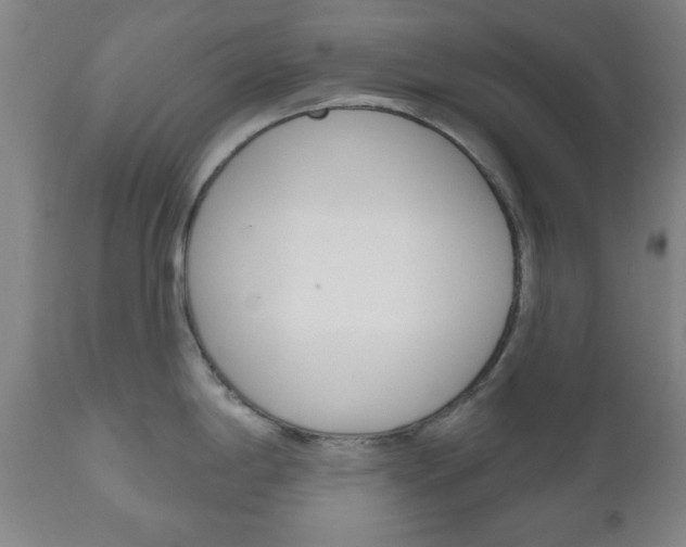 X0000111171198200907011000