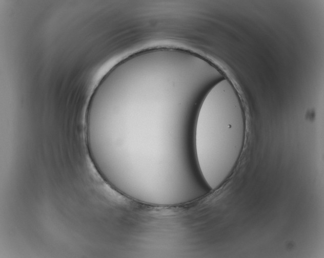 X0000111171199200907011000